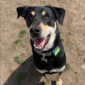 Meet your Posher, Teodora